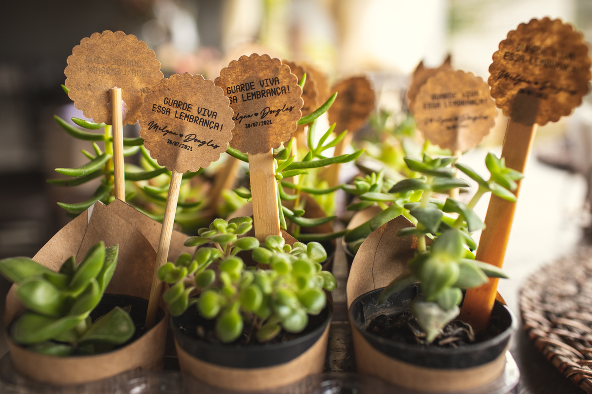 Casamento ao ar livre em Serra Negra #casamento