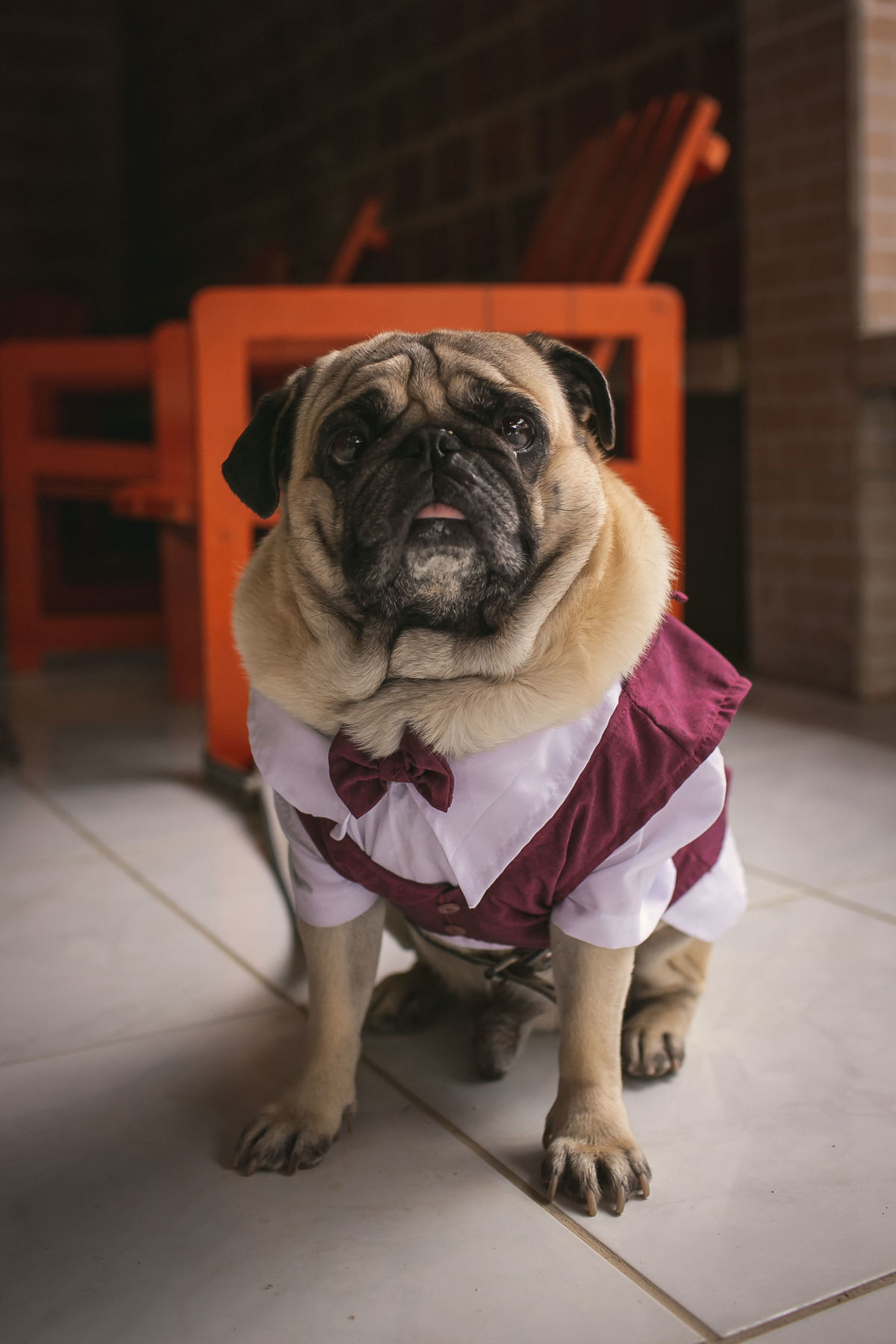 Casamento ao ar livre em Serra Negra #casamento