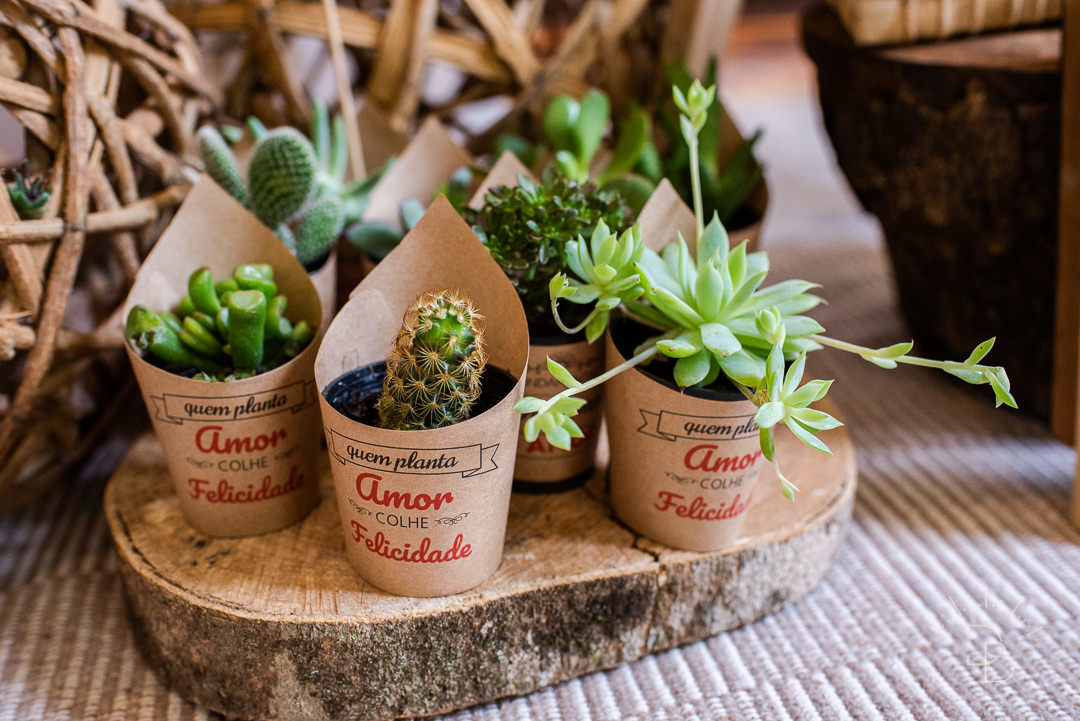 lembrancinhas de cactos para aniversario Infantil