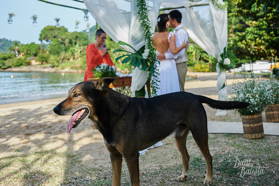 cachorro na cerimonia de casamento de dia ao ar livre na praia em paraty
