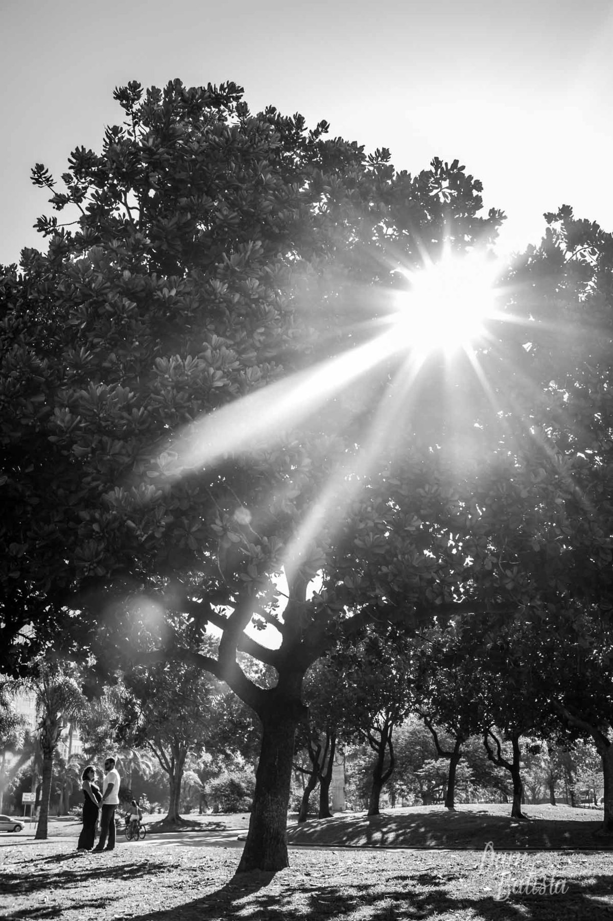 sol estrelado no ensaio de fotos de gestante aterro do flamengo rio de janeiro