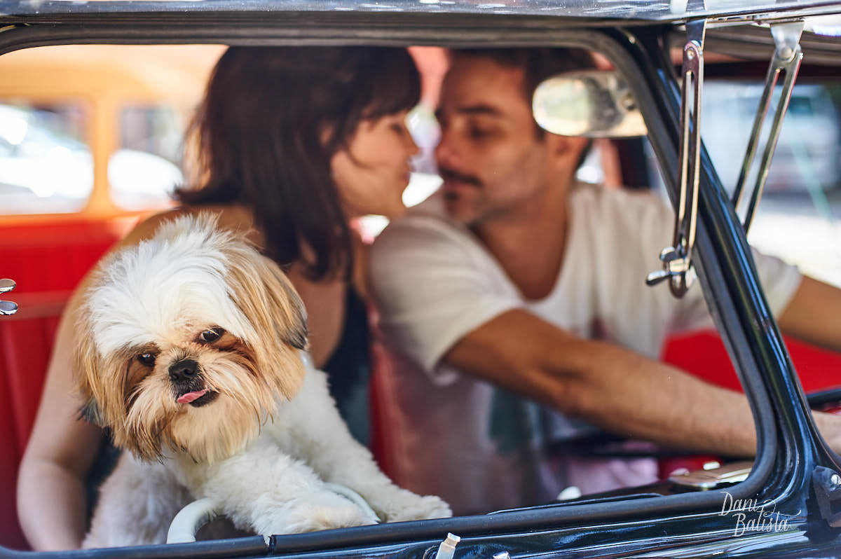 Cachorro fofo Lino no ensaio fotográfico de casal no largo do boticário