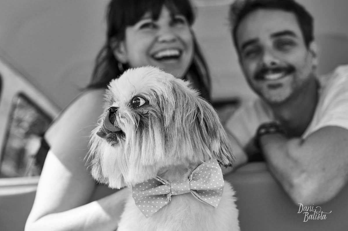 Cachorro fofo Lino durante ensaio de casal durante o dia