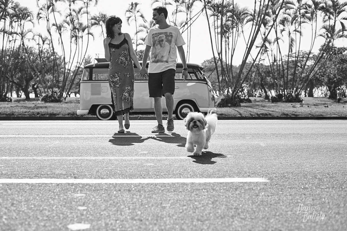 Cachorrinho no ensaio de fotos no Aterro do Flamengo