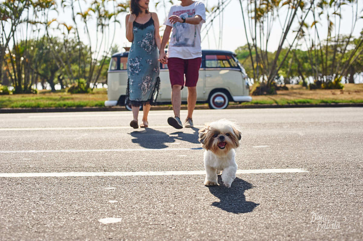 Detalhe do cachorrinho no Ensaio de Casal no Aterro do Flamengo