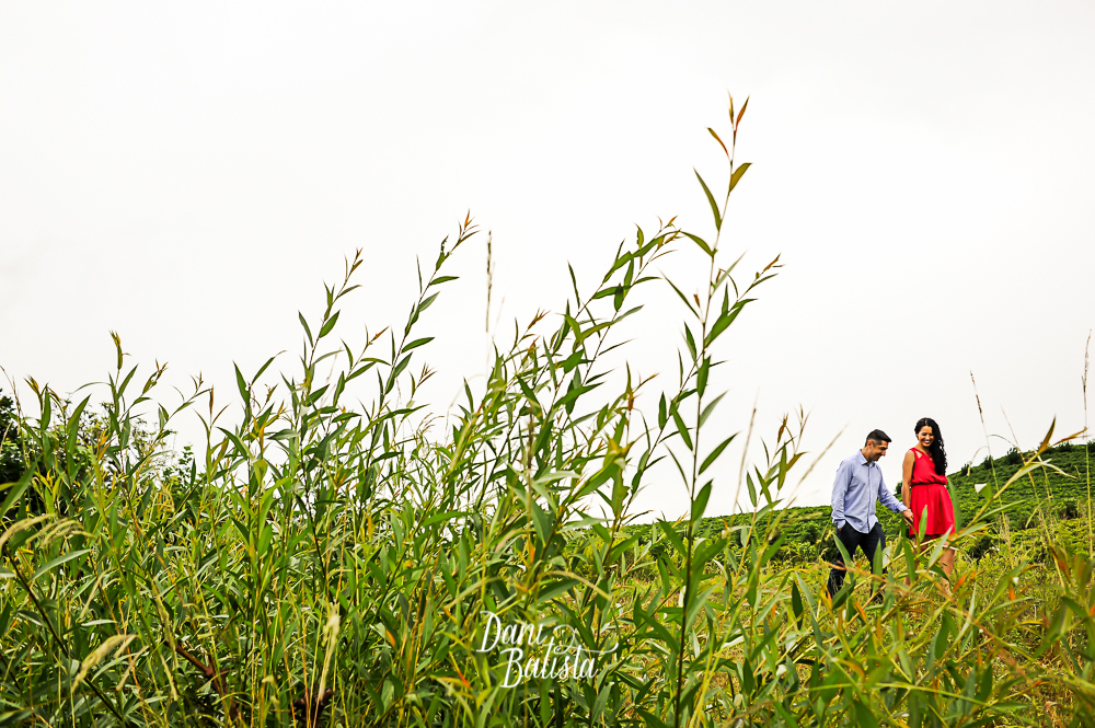 ensaio fotografico de casal na vinicola sul