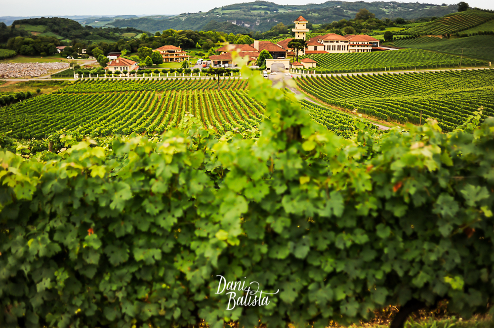 vinicola no sul local do ensaio pre casamento de casal