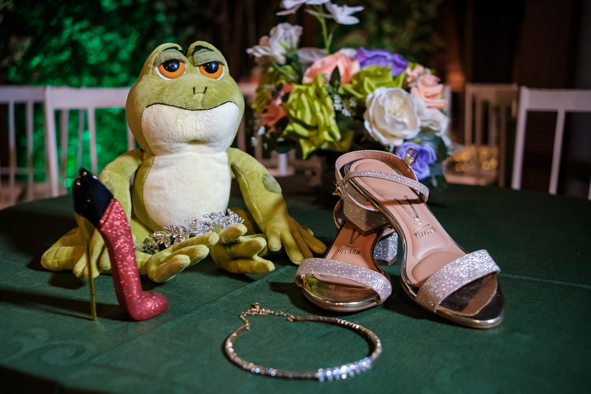 Fotografia festa debutante Lunah
Princesa Tiana
Local: Viena Casa de festas - Meier - RJ
Fotógrafo Wallace Nunes - Rio de Janeiro Zona Oeste
Guaratiba