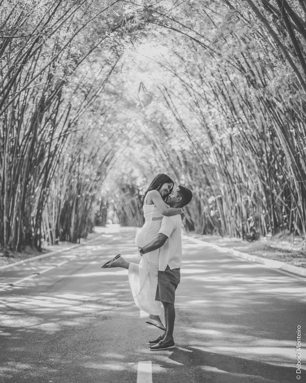 Bambuzal aeroporto de Salvador