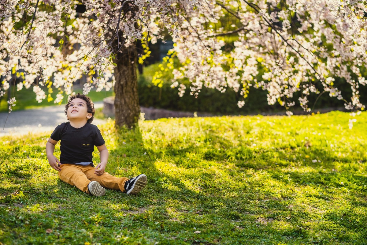 ensaio familiar no japao, ensaio diferente no japao, fotografo de familia no japao, ensaio familiar diferente no japao, ensaio em aichi japao