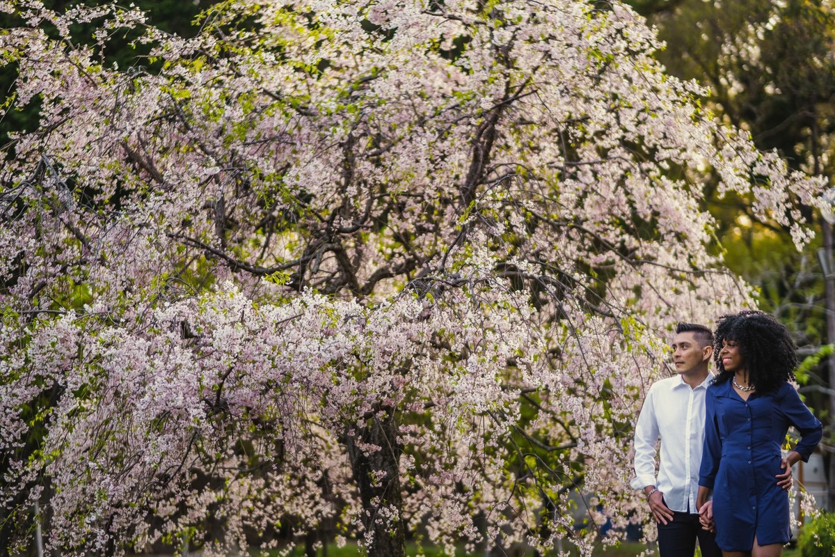 ensaio familiar no japao, ensaio diferente no japao, fotografo de familia no japao, ensaio familiar diferente no japao, ensaio em aichi japao