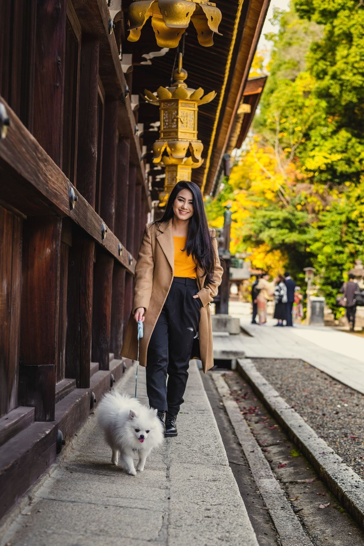 ensaio em kyoto, fotografo em kyoto, ensaio turístico em kyoto, fotografo no japao, ensaio em kyoto