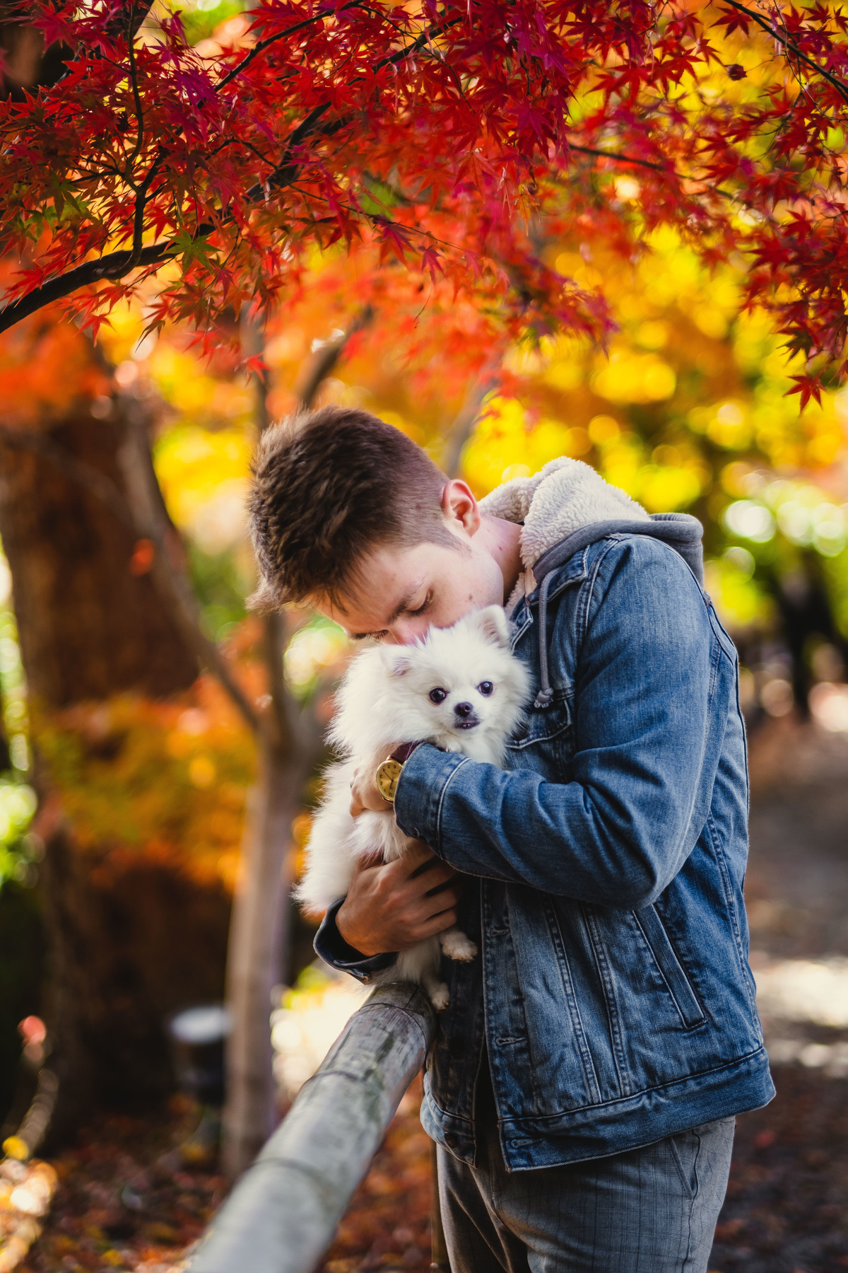 ensaio em kyoto, fotografo em kyoto, ensaio turístico em kyoto, fotografo no japao, ensaio em kyoto