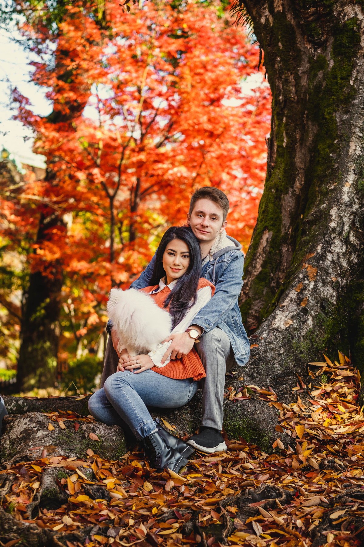 ensaio familiar no japao, fotografo no japao, fotografo em kyoto, fotografo familiar no japao, pet no japao