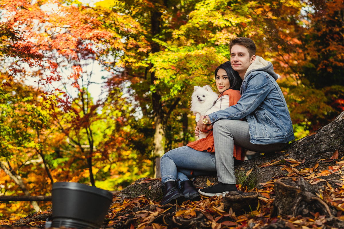 ensaio familiar no japao, fotografo no japao, fotografo em kyoto, fotografo familiar no japao, pet no japao