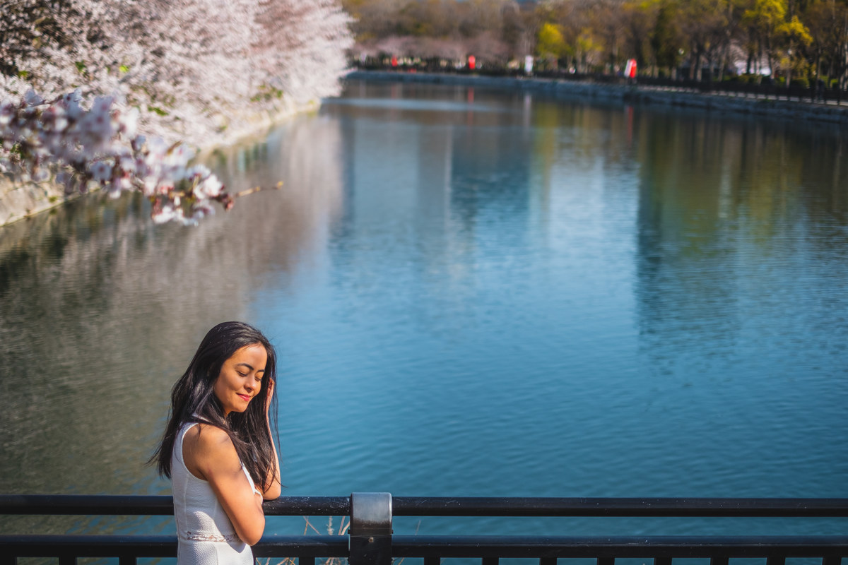 sakura, flor de cerejeira, turismo no japao, osaka,