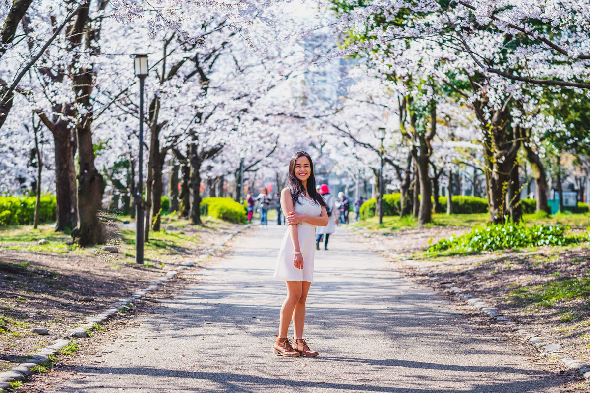 sakura, flor de cerejeira, turismo no japao, osaka,lua de mel no japao