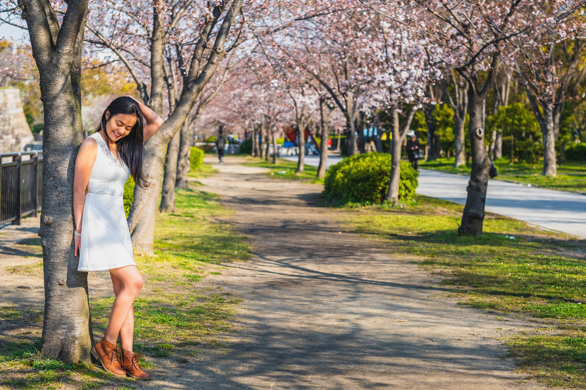 sakura, flor de cerejeira, turismo no japao, osaka,