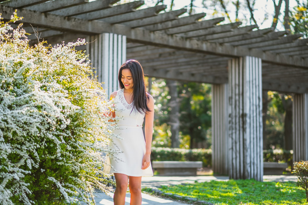 sakura, flor de cerejeira, turismo no japao, osaka,