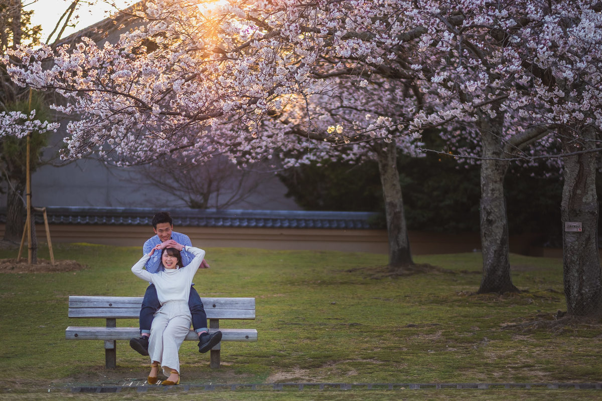 templo, casamento,  fotografo brasileiro no japao, casamento no japao, nara, fotografo no japao, sakura, pre wedding, pre wedding no japao, destination wedding no japao, flor de cerejeira