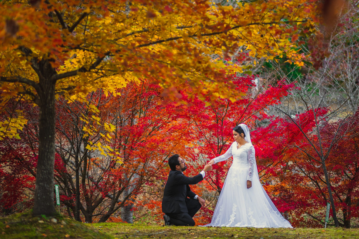 Vestido de noiva no Japão, fotos de momiji, fotos no Japão, fotografo no Japão, fotos em mie 