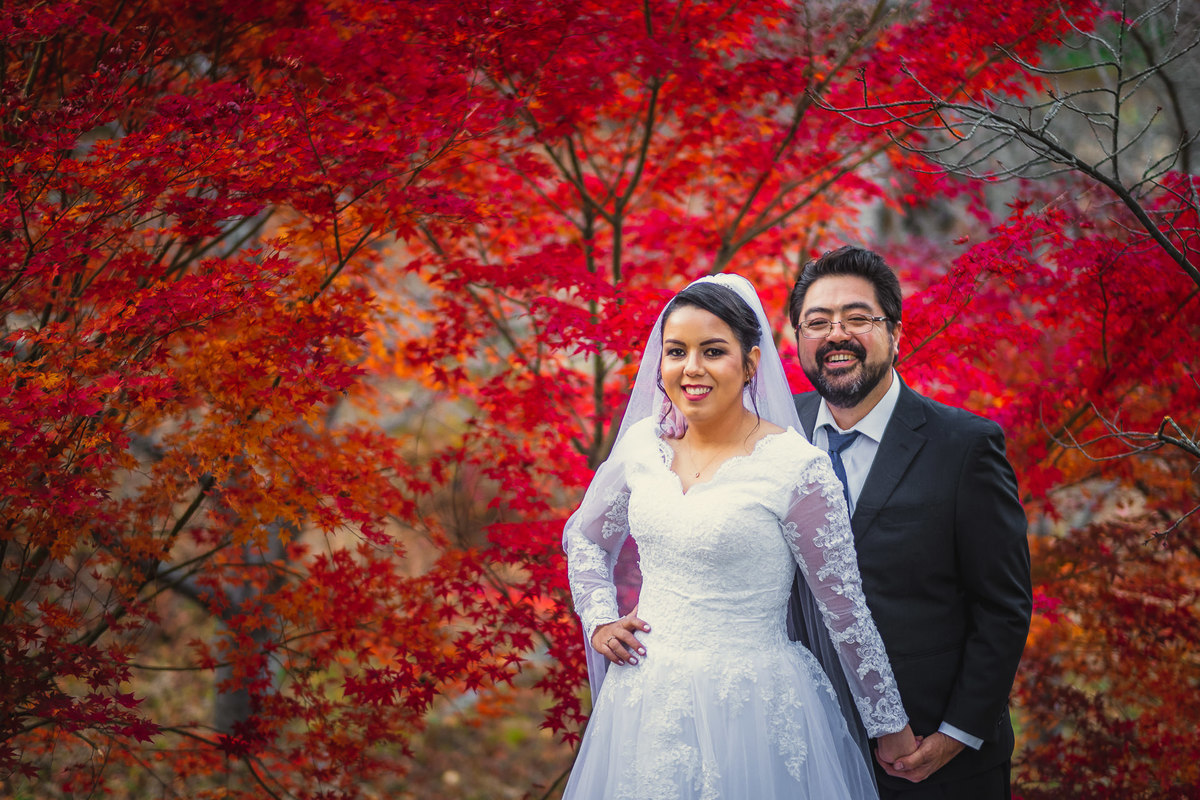 Ensaio em gifu, ensaio em osaka, ensaio em nagoya, ensaio em tokyo, ensaio em kyoto 