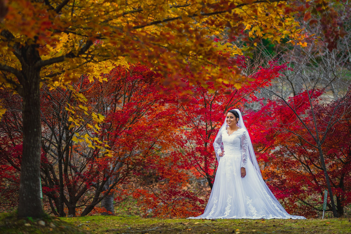 Noivas no Japão, gestantes no Japão, noivos no Japão, ensaio de noivos, fotografo no Japão 