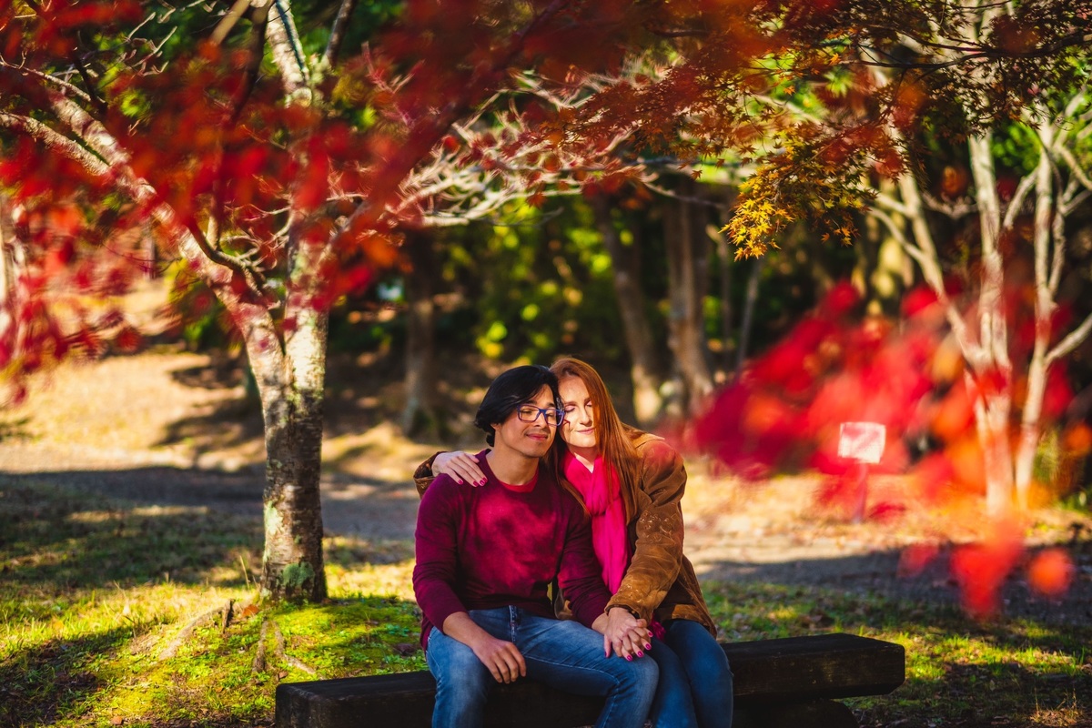 Fotografo em osaka, fotografo em mie, fotografo em shiga, fotografo kyoto, fotografo em nagoya 