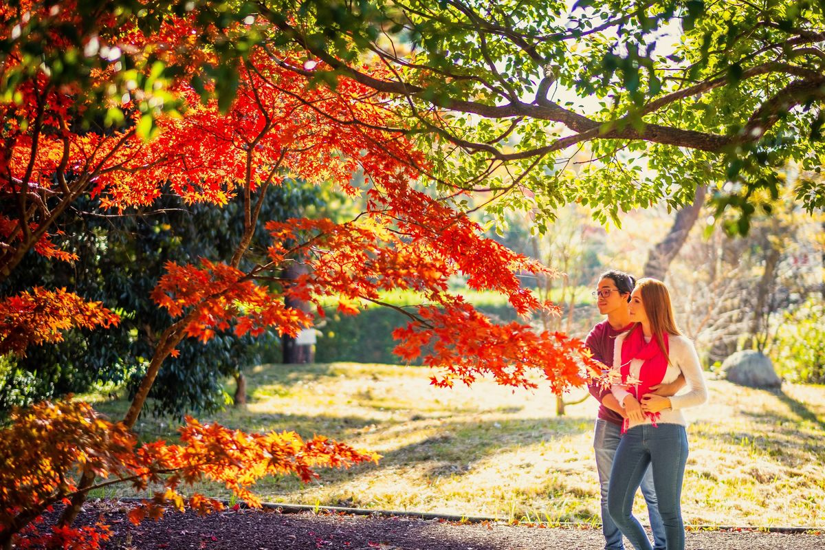 Fotografo no Japão, ensaio em shiga, ensaio em kyoto, ensaio em aichi, ensaio em nagoya 