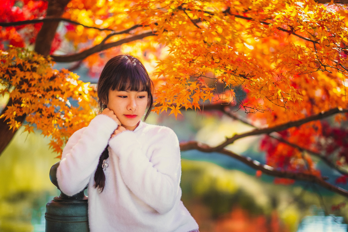 ensaio debutante no Japão, fotografo no Japão, ensaio momiji, ensaio em Okazaki, ensaio em Aichi 