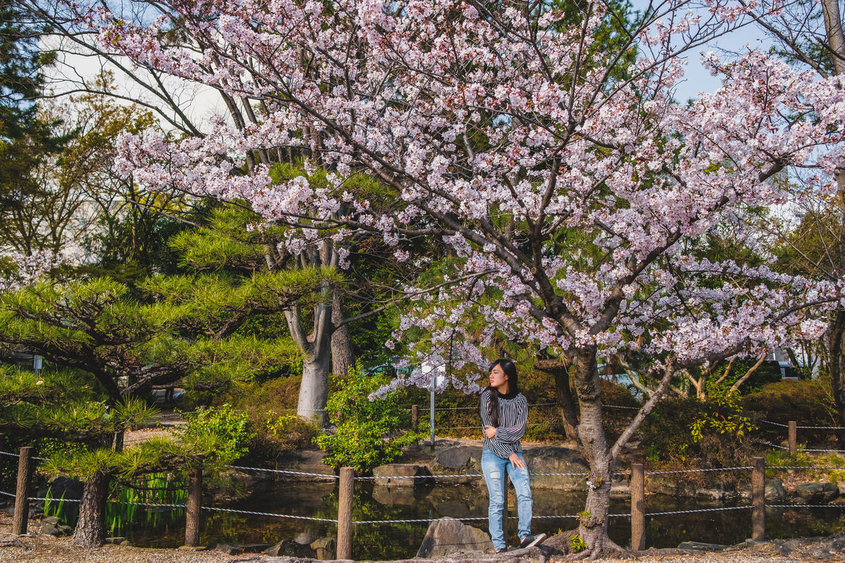 fotografo no Japão, ensaio debutante no Japão, ensaio no sakura, ensaio em Aichi, ensaio fotográfico no Japão 
