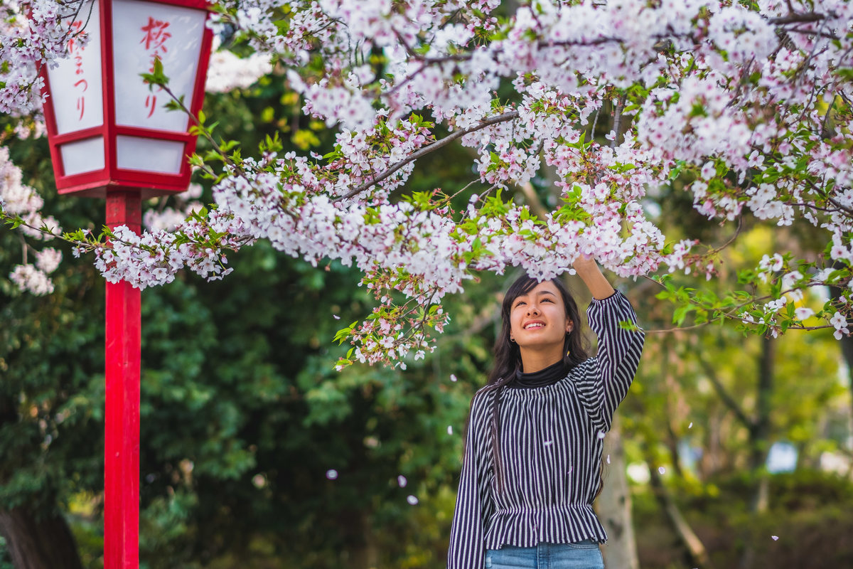 ensaio em Utsumi, fotografo no Japão, ensaio no Sakura, ensaio debutante, ensaio em Aichi 
