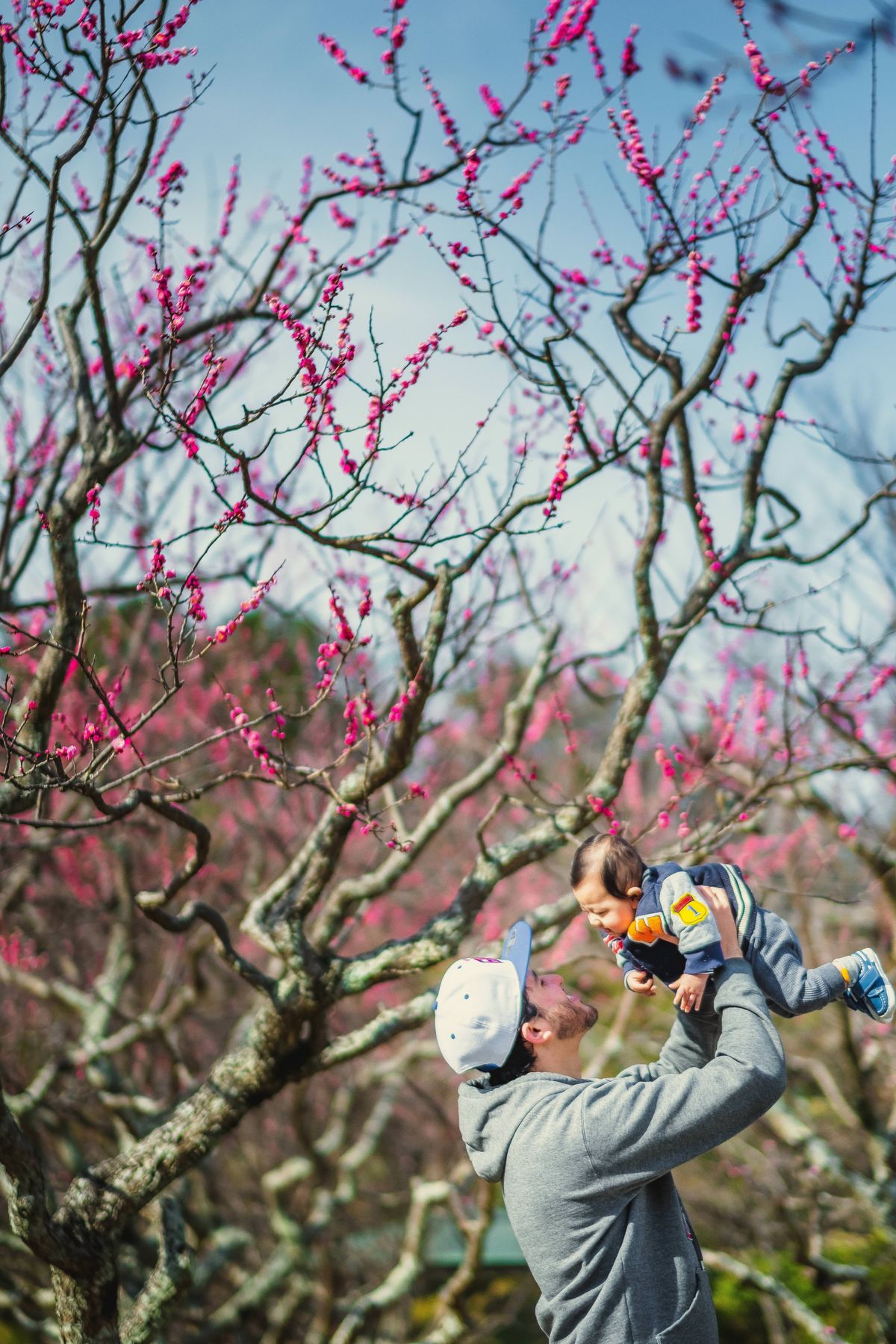 ensaio fotografico no Japão, ensaio familiar no japao, fotografo no japao, fotografo em aichi, fotografo brasileiro no japao 