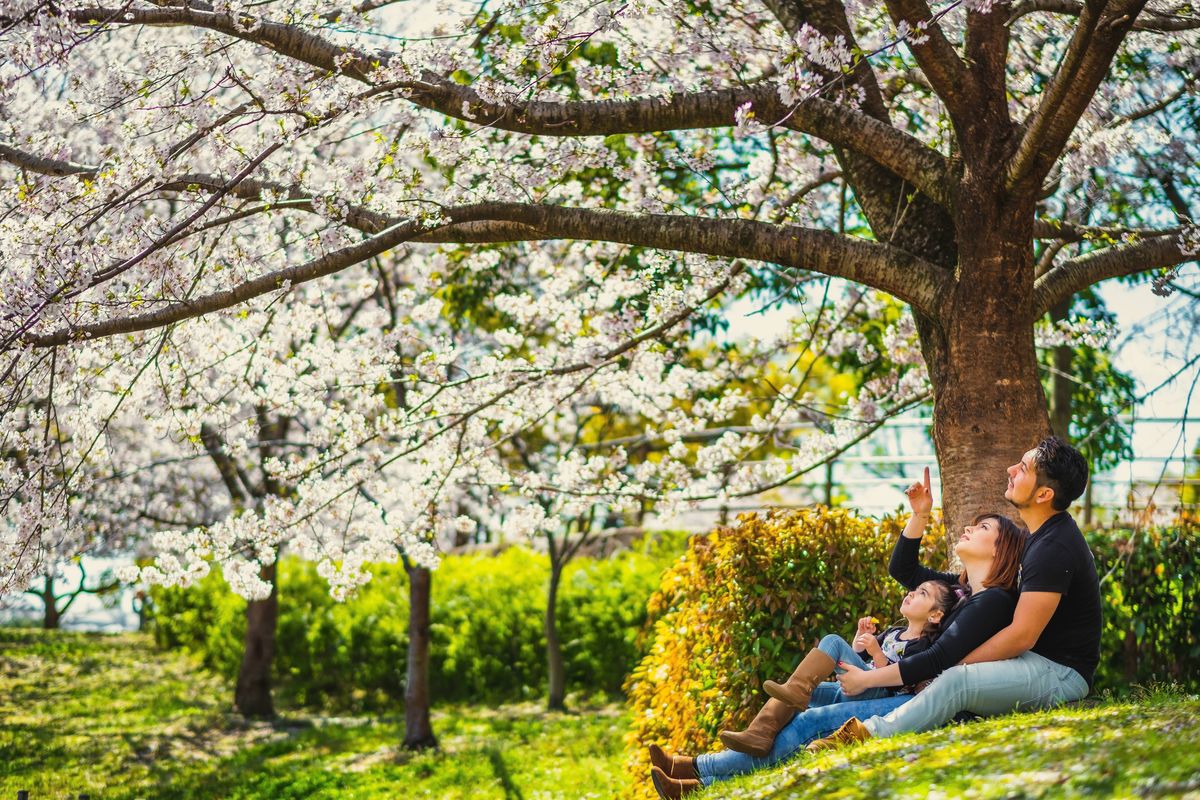 ensaio fotografico no Japão, fotografo no Japão, fotografo brasileiro no Japão, ensaio familiar no Japão, ensaio em aichi 