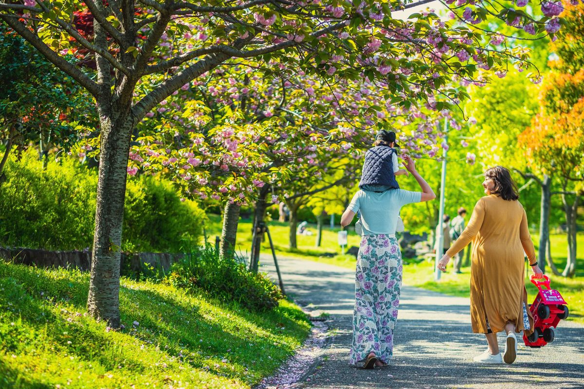 fotografo no japao, fotografo em mie, fotografo em acihi, fotografo em Gifu, 
