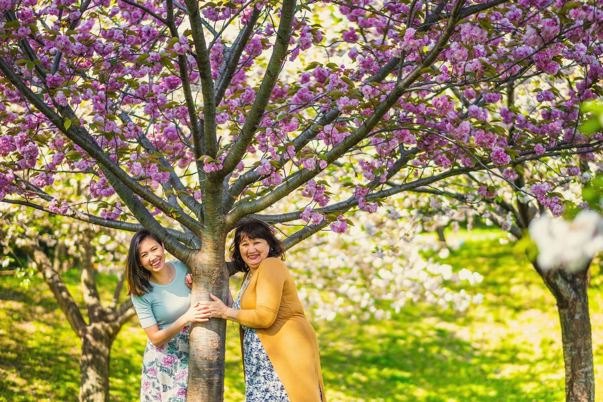 ensaio familiar no Japão, fotografo no Japão, fotografo brasileiro no Japão, fotografo em aichi, fotografo em mie 