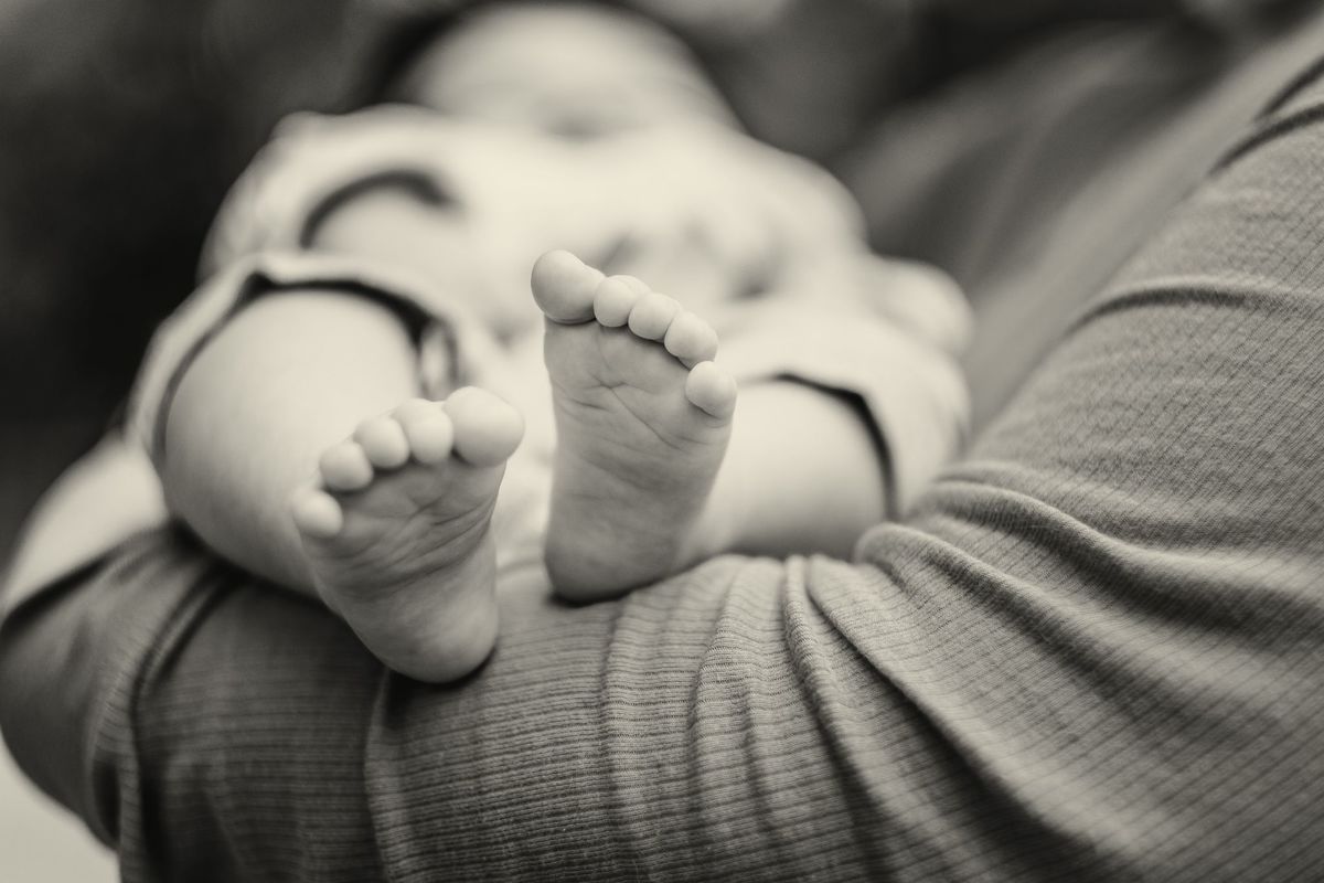 fotografo no japao, fotografo brasileiro no japao, fotografo em aichi, fotografo em mie 