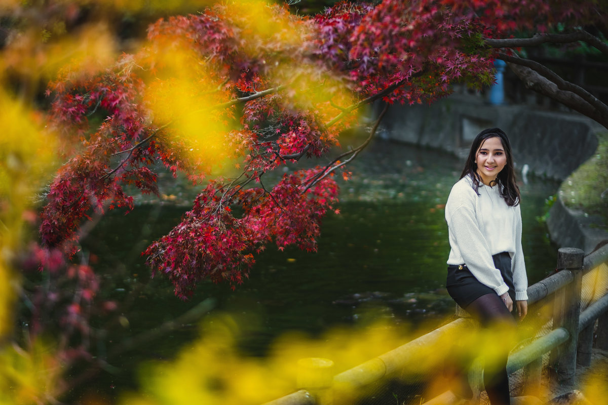 ensaio diferente no japao, ensaio outono no japao, ensaio debutante no japao, ensaio folhas de momiji, ensaio fotografico no japao