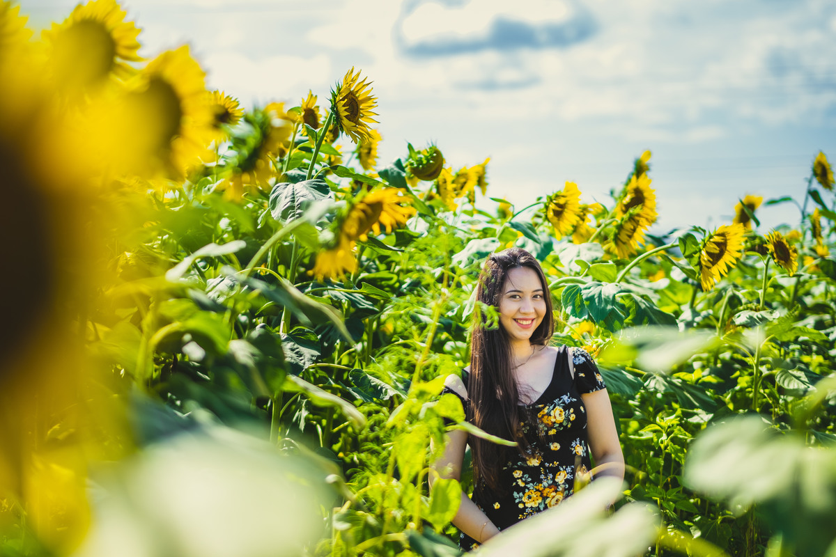 ensaio gestante diferente, fotografo de familia no japao, ensaio nos campos de girassois no japao, ensaio em shiga, ensaio familiar no japao
