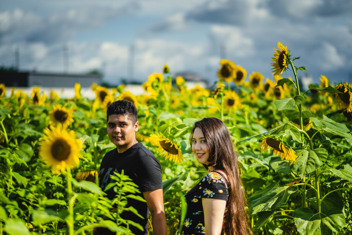 ensaio gestante diferente, fotografo de familia no japao, ensaio nos campos de girassois no japao, ensaio em shiga, ensaio familiar no japao