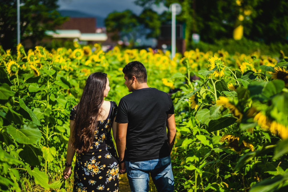 ensaio gestante diferente, fotografo de familia no japao, ensaio nos campos de girassois no japao, ensaio em shiga, ensaio familiar no japao