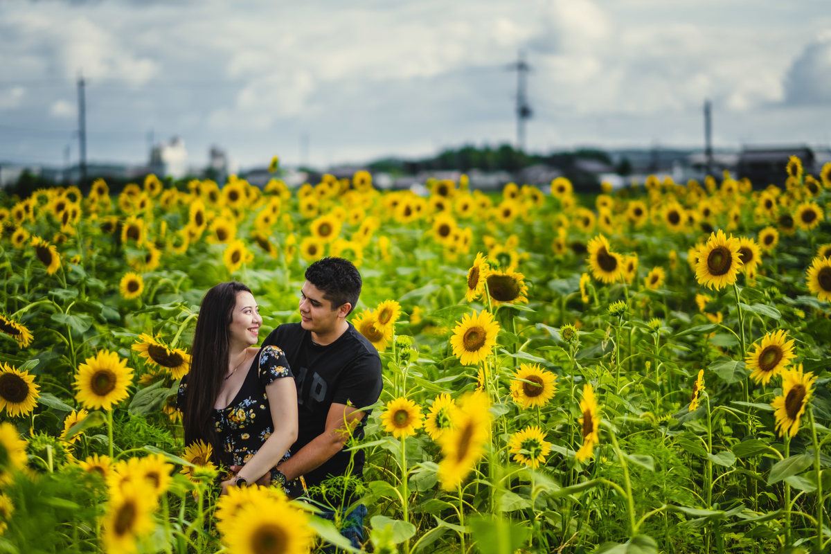 ensaio gestante diferente, fotografo de familia no japao, ensaio nos campos de girassois no japao, ensaio em shiga, ensaio familiar no japao