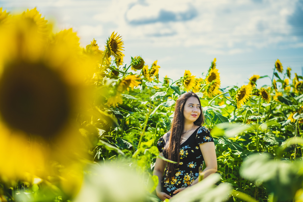 ensaio gestante diferente, fotografo de familia no japao, ensaio nos campos de girassois no japao, ensaio em shiga, ensaio familiar no japao