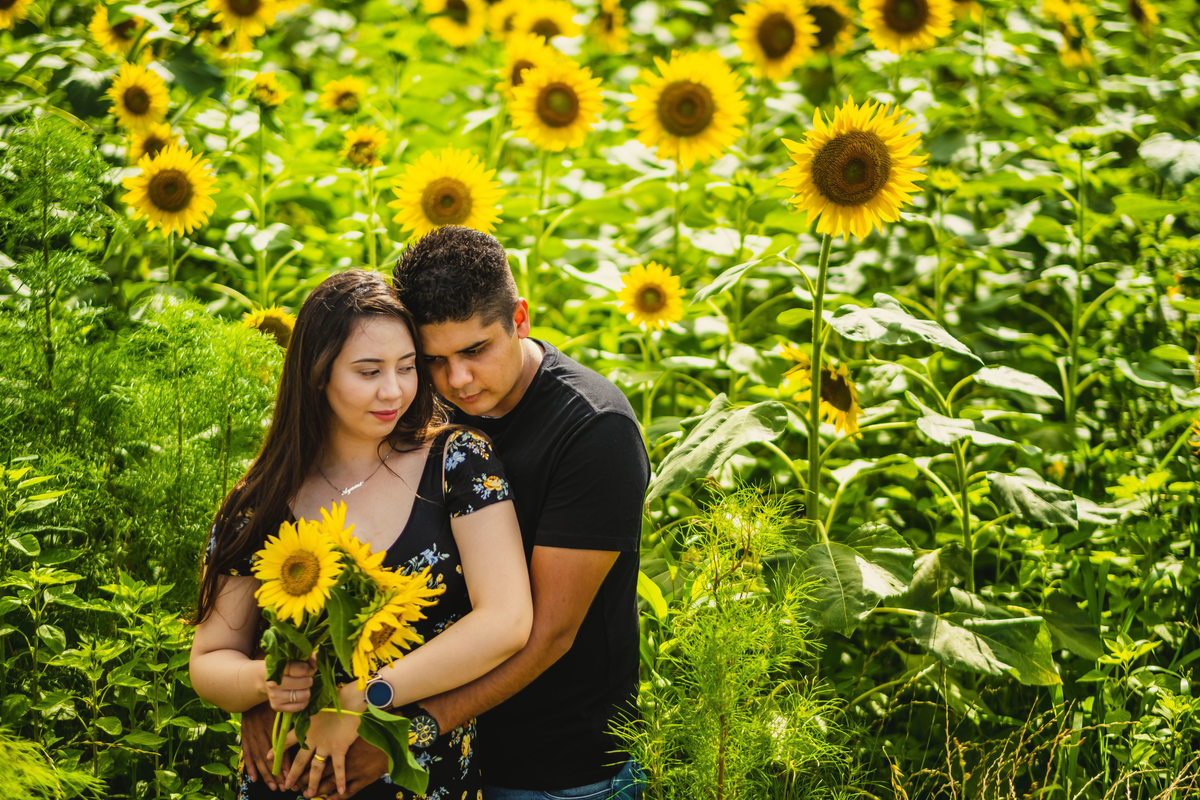 ensaio gestante diferente, fotografo de familia no japao, ensaio nos campos de girassois no japao, ensaio em shiga, ensaio familiar no japao