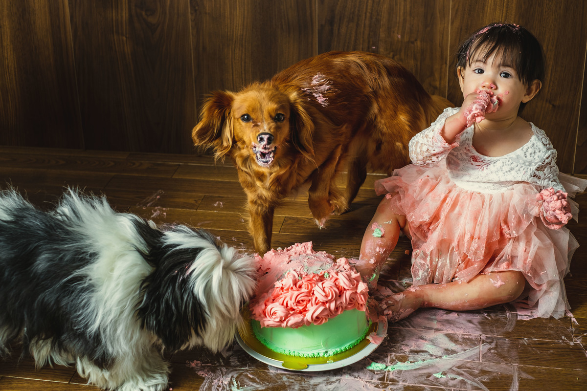fotografo de familia no Japao, ensaio familiar no Japao, acompanhamento no Japao, ensaio newborn no Japao