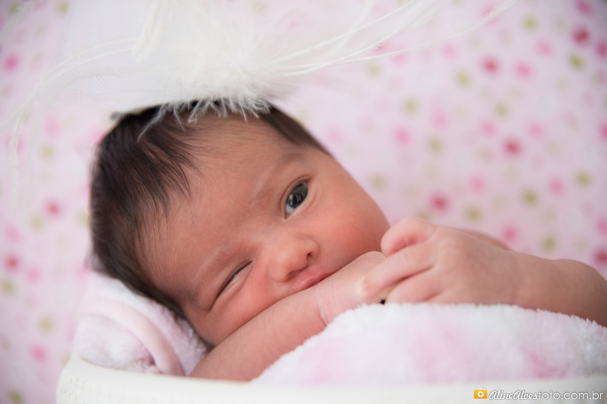 fotografia newborn