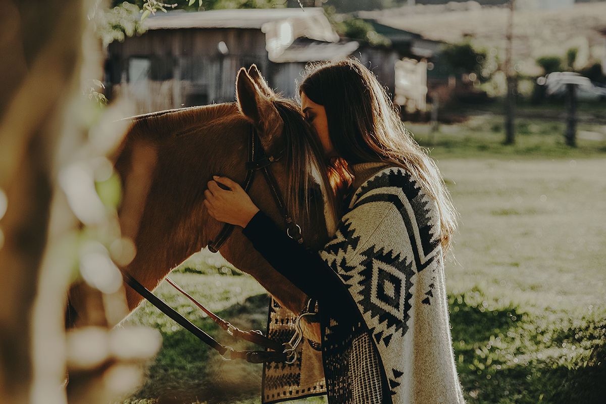 O amor entre humanos e cavalo retratado na foto por um beijo da menina em seu animal de estimação