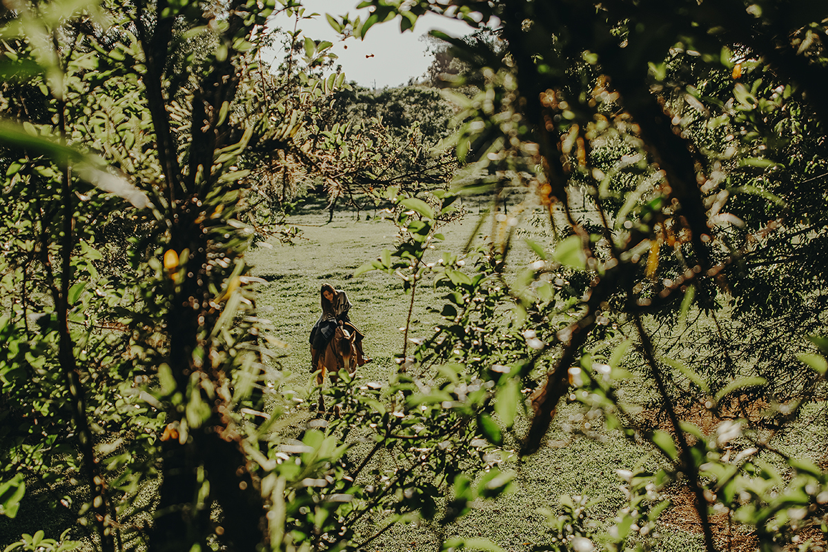 Menina feliz em cima do seu cavalo em ensaio fotográfico