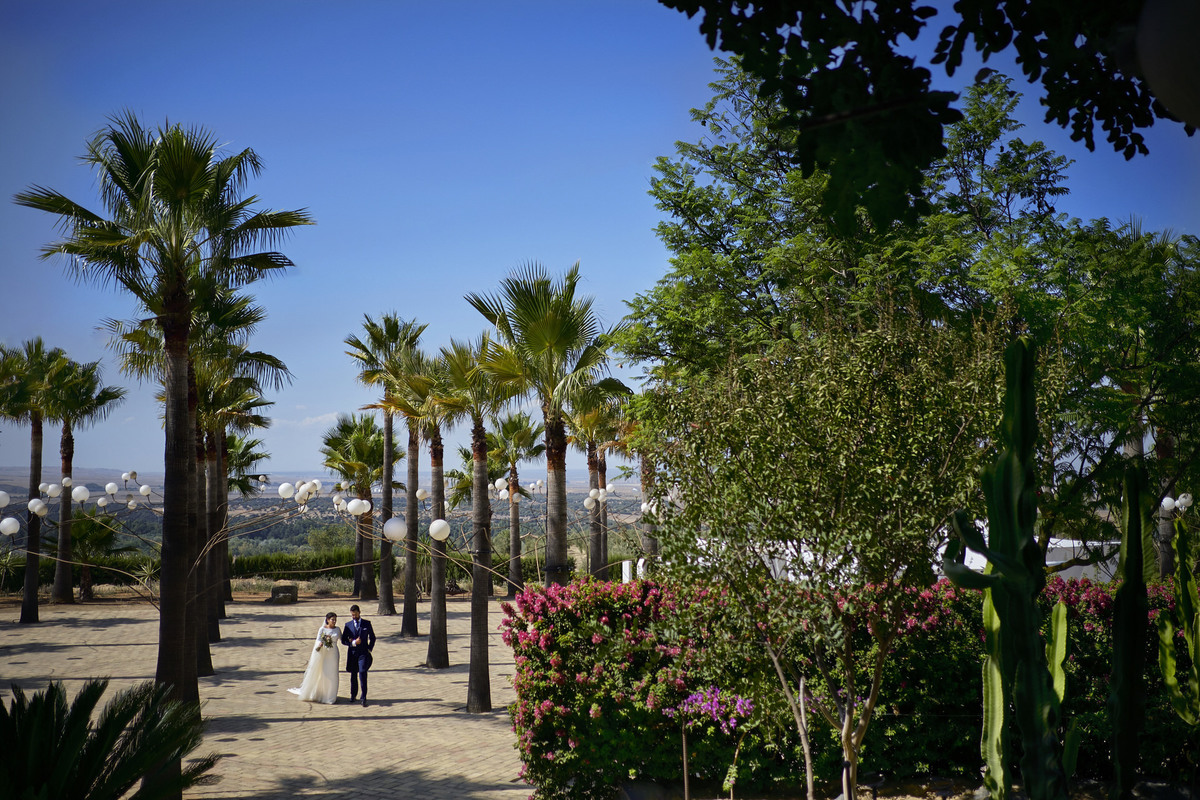 Vistas preciosas para tu boda en la Hacienda los Parrales fotografía realizada por los mejores fotógrafos de Sevilla - Parejo Photos