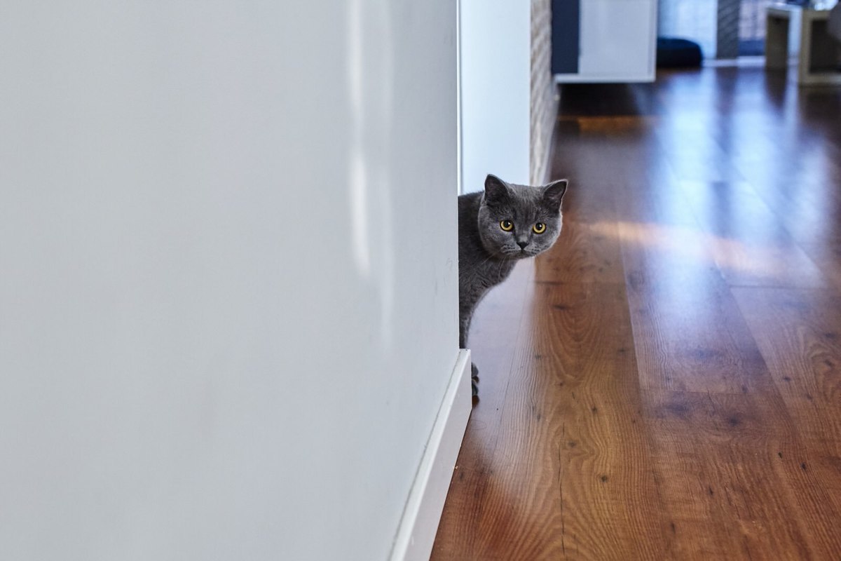Fotografia de bodas sevilla